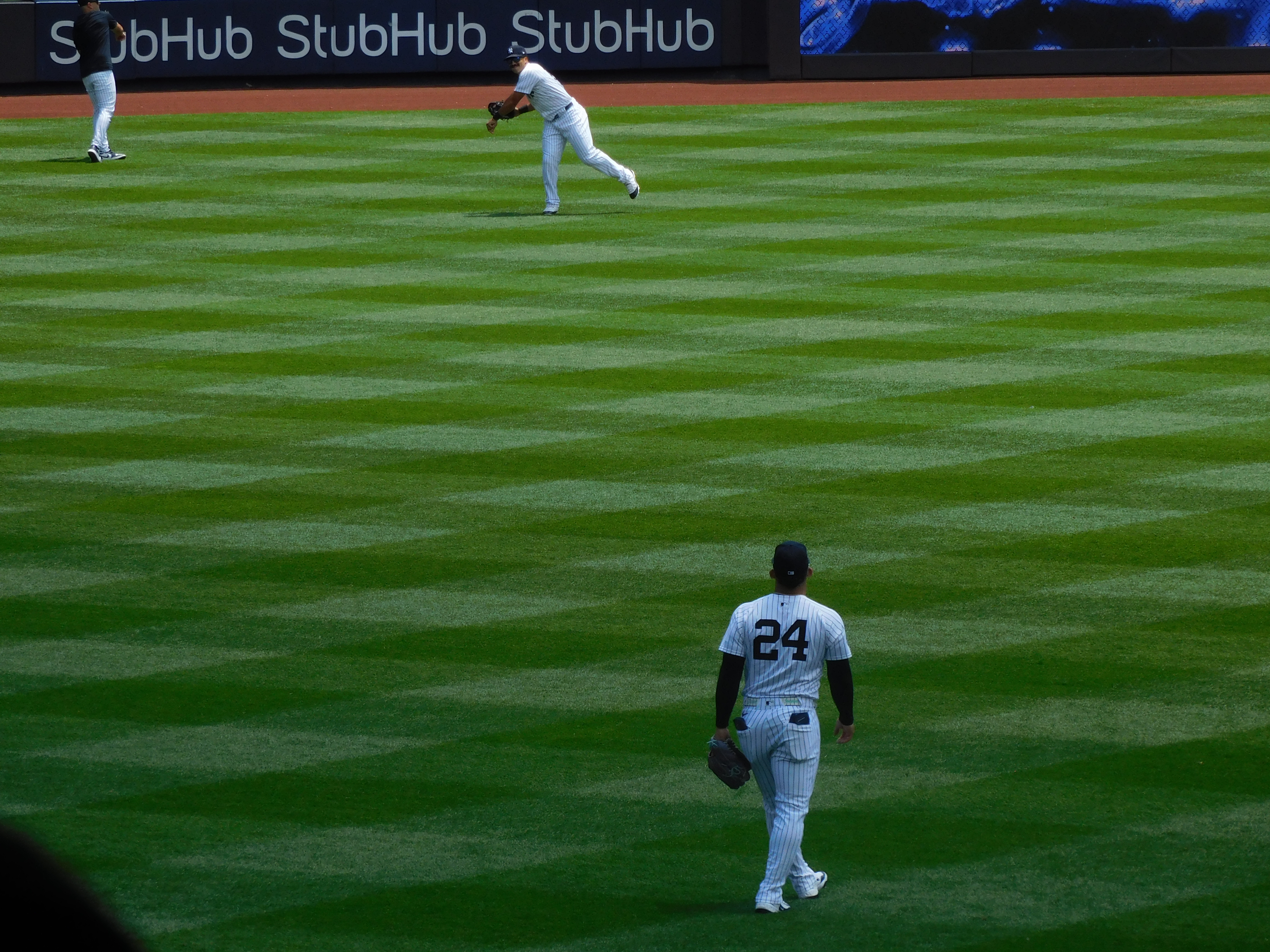 Two baseball players wearing Yankee uniforms standing in the outfield. The player in the foreground is wearing number 24, and the player in the background is throwing him the ball.